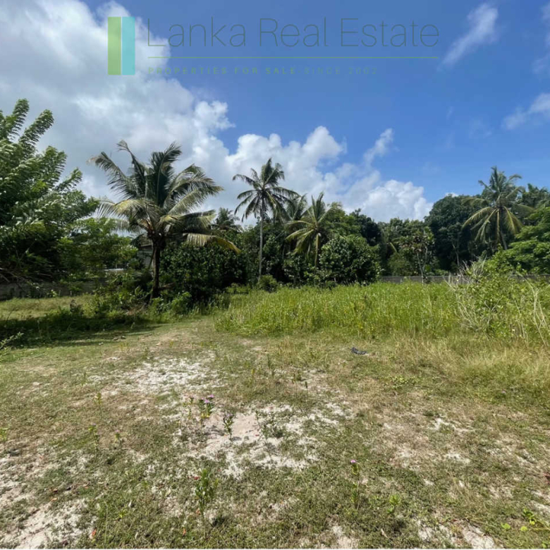 Development plot in Talpe