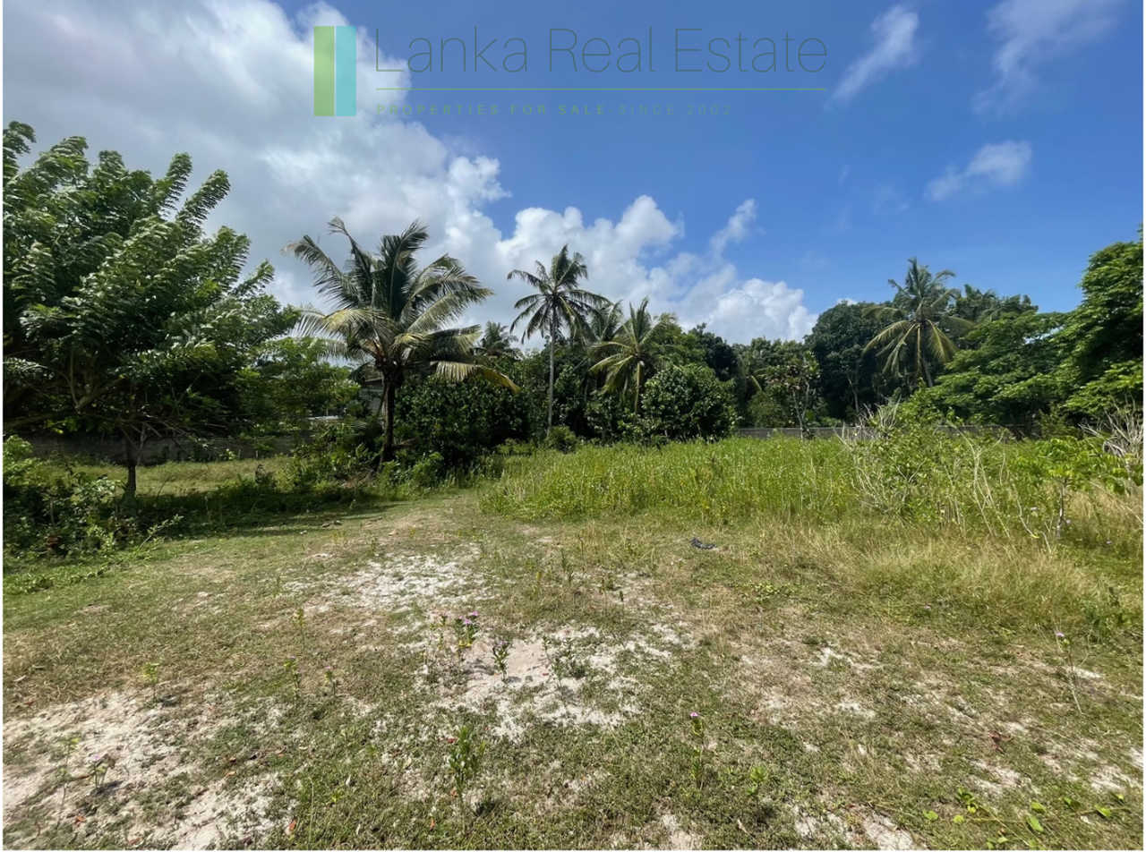 Development plot in Talpe