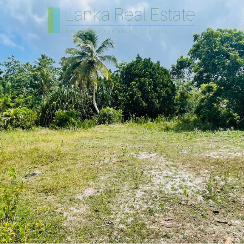 Development plot in Talpe