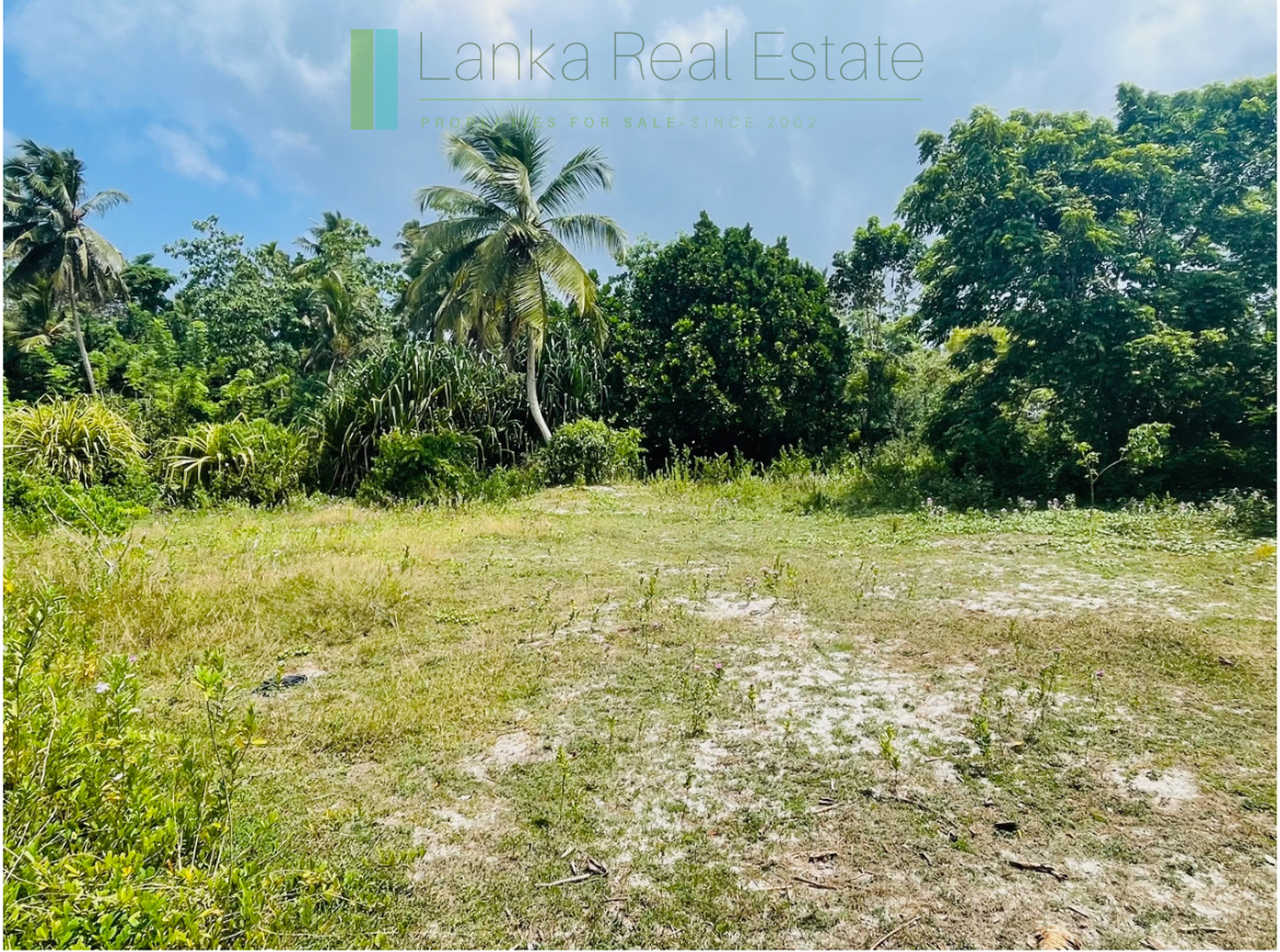 Development plot in Talpe