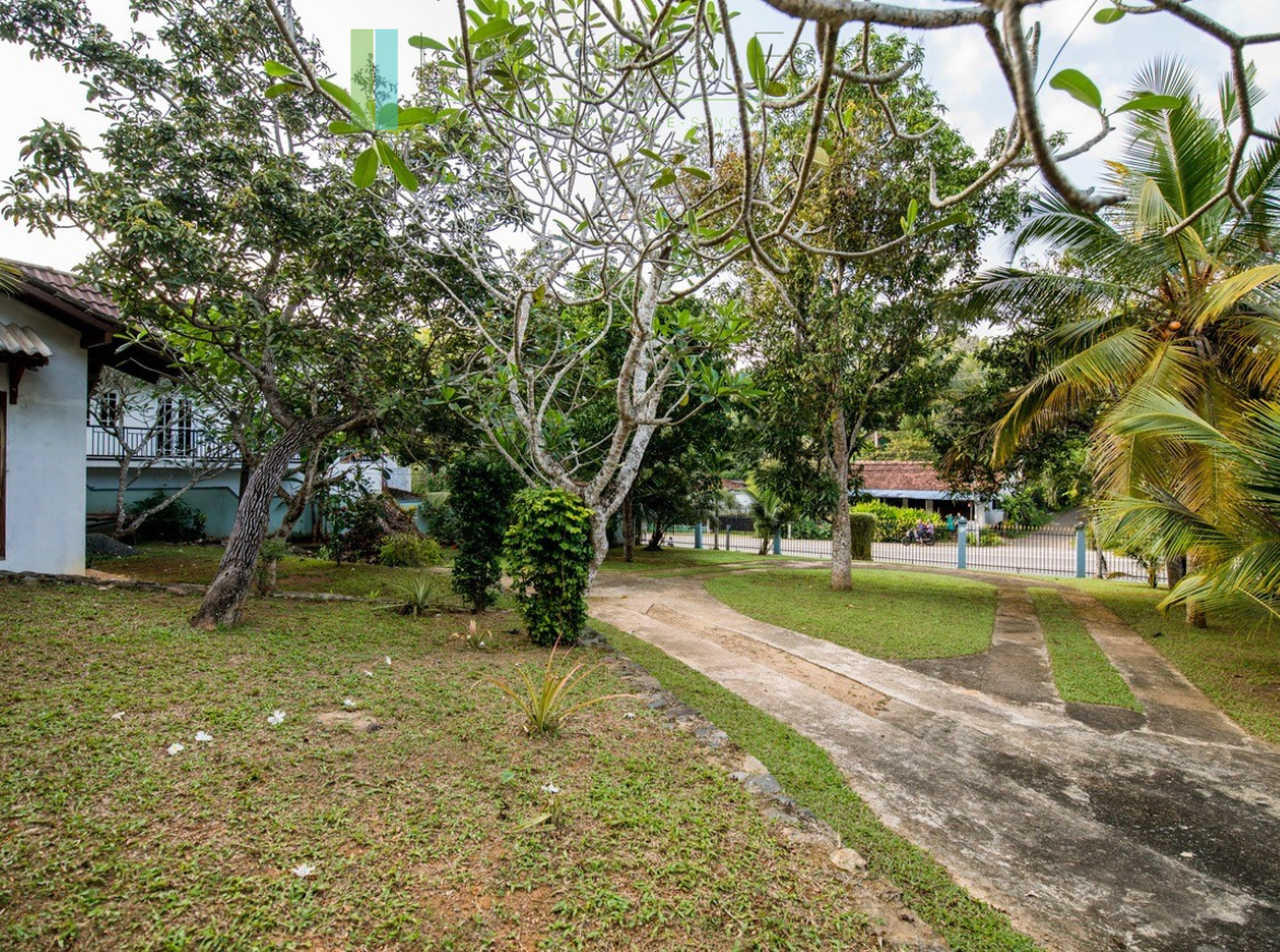 Large plot with three self-contained villas