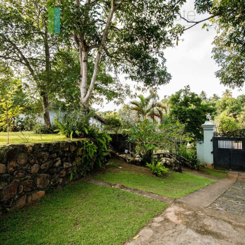 Large plot with three self-contained villas