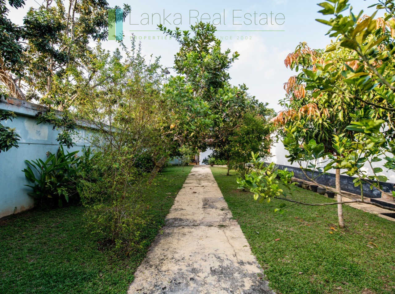Large plot with three self-contained villas
