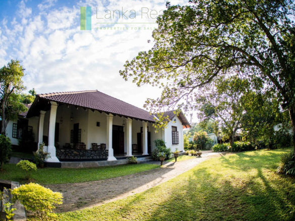 Large plot with three self-contained villas