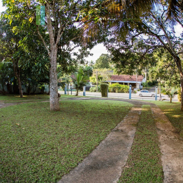 Large plot with three self-contained villas