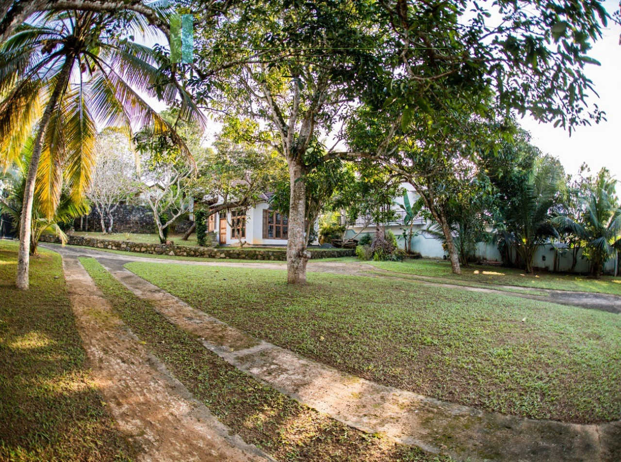 Large plot with three self-contained villas