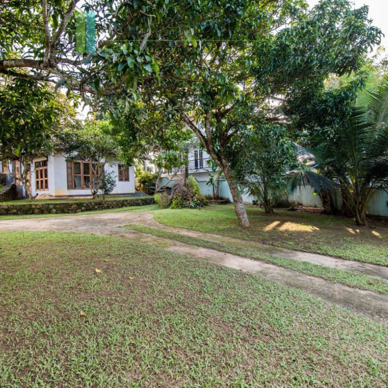 Large plot with three self-contained villas