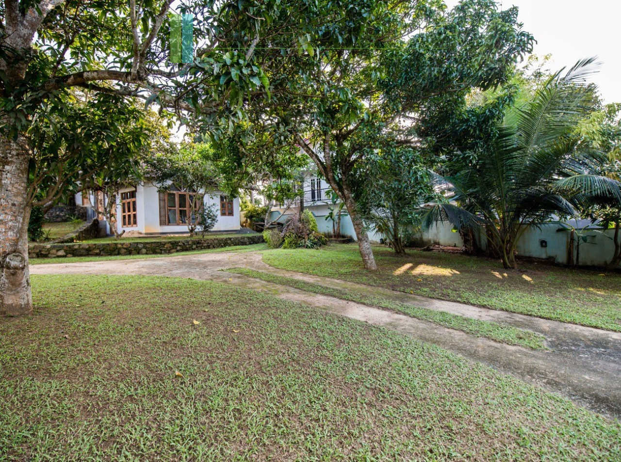 Large plot with three self-contained villas