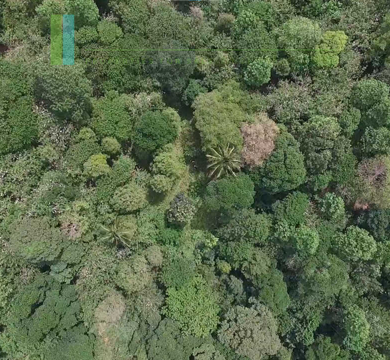 Panoramic twenty-five acres near Kandy