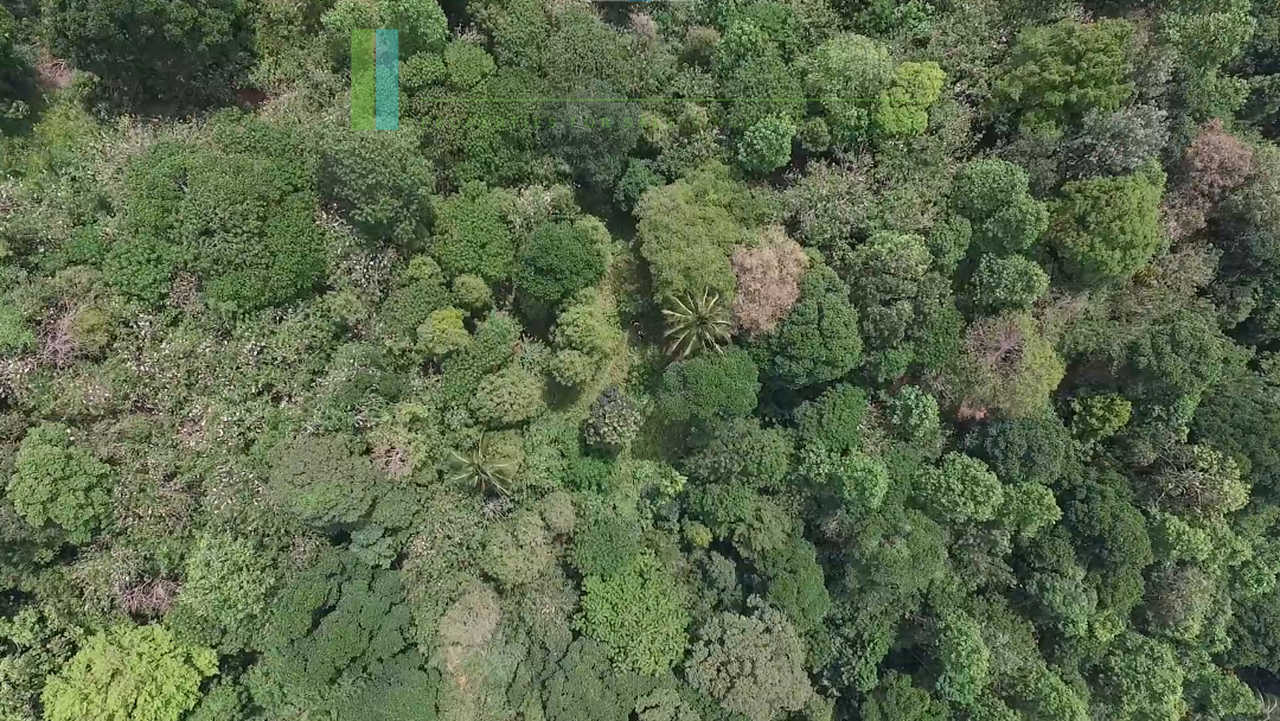 Panoramic twenty-five acres near Kandy
