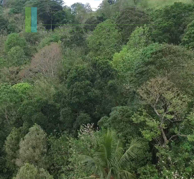 Panoramic twenty-five acres near Kandy