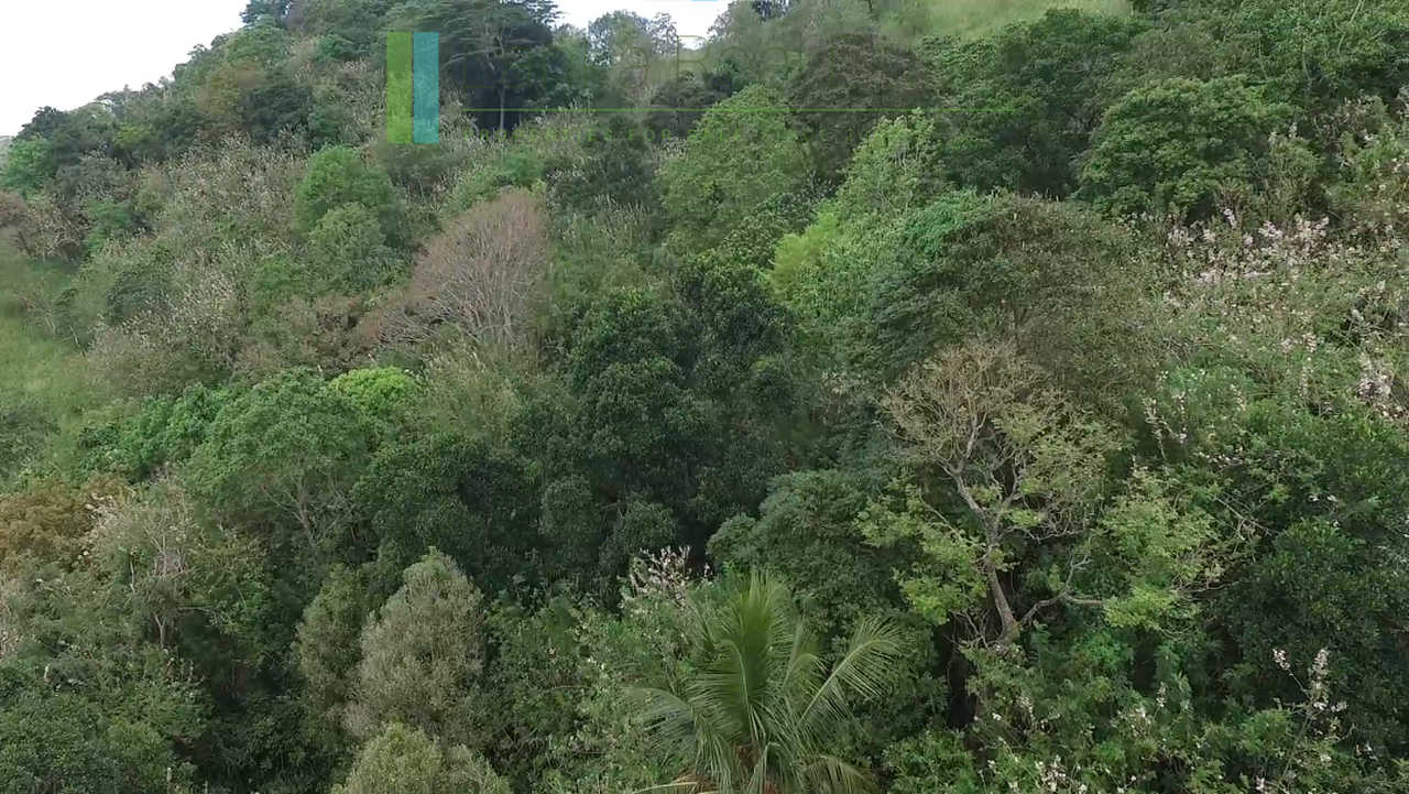 Panoramic twenty-five acres near Kandy