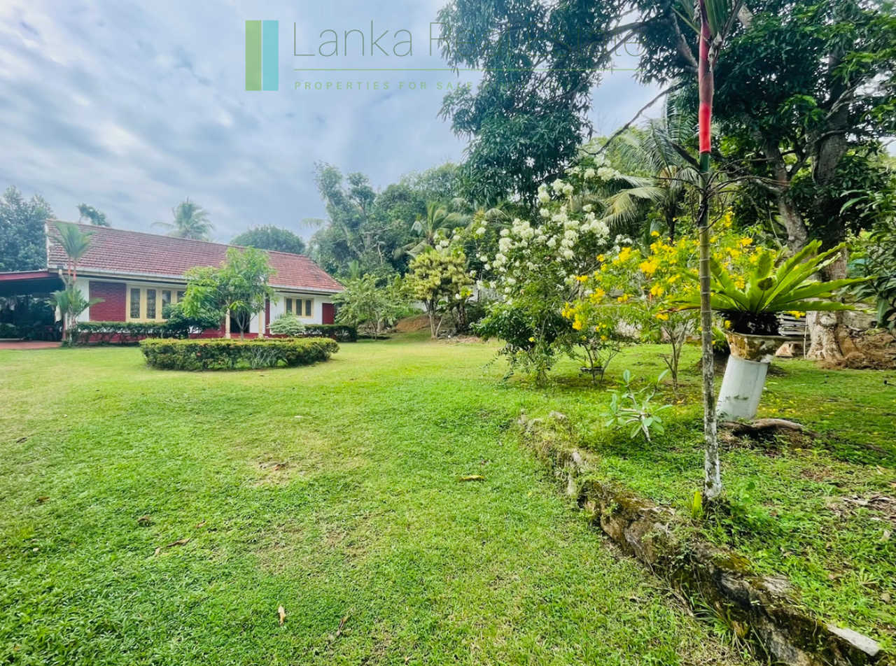 1950s house in Hikkaduwa