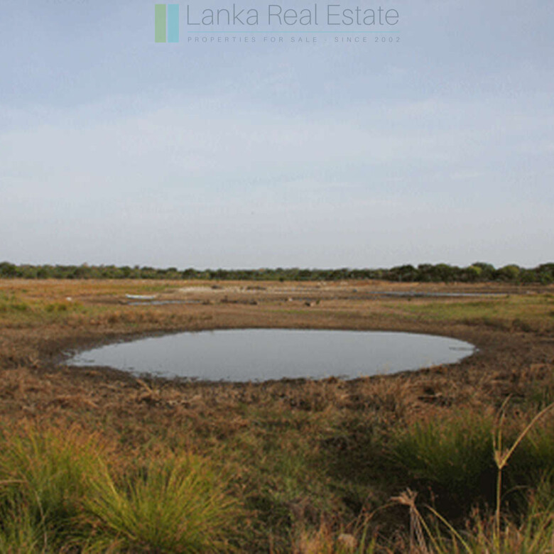 Extensive second-line beachfront plot near surf-break
