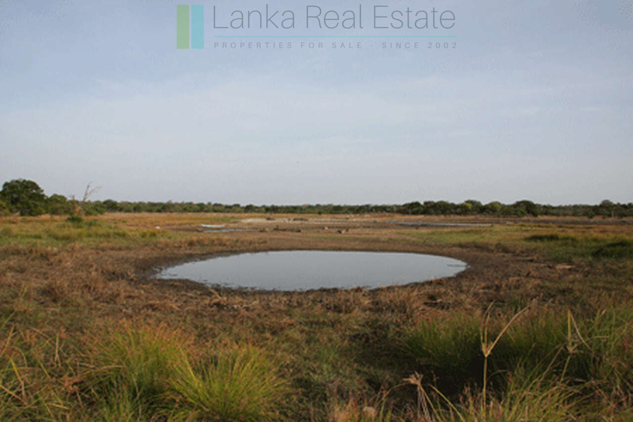 Extensive second-line beachfront plot near surf-break