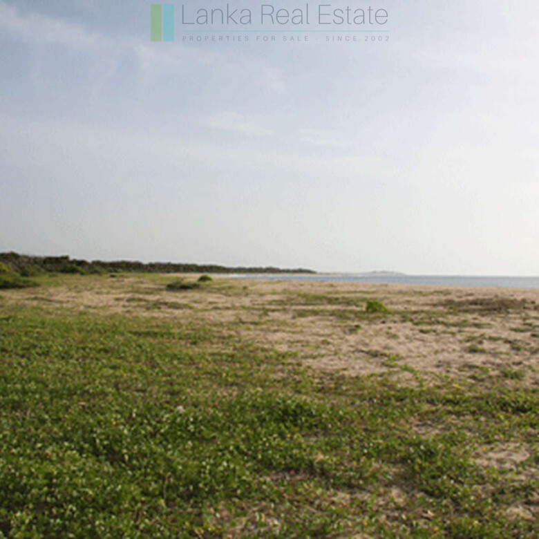 Extensive second-line beachfront plot near surf-break