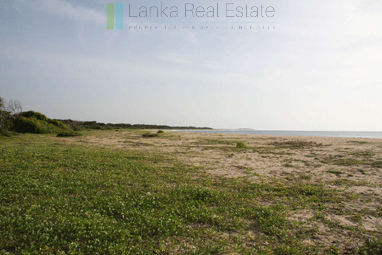 Extensive second-line beachfront plot near surf-break