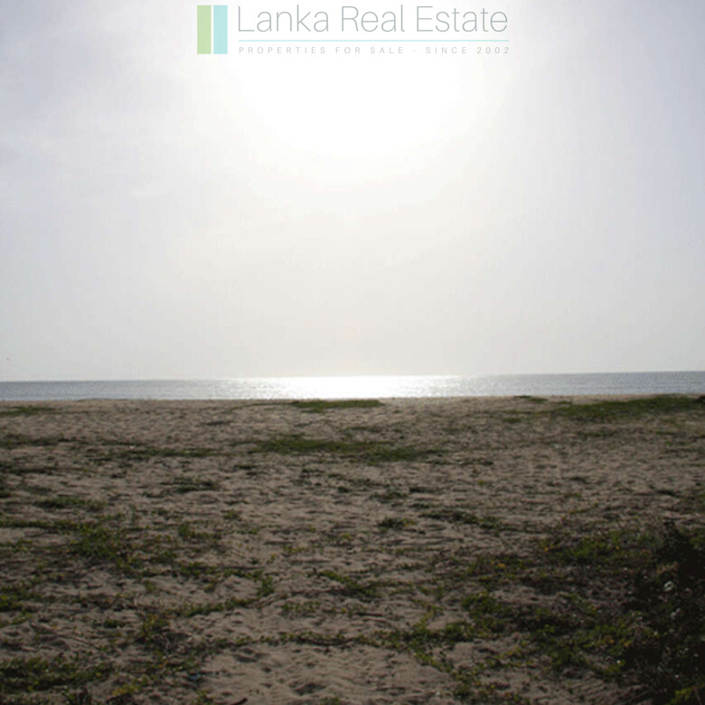 Extensive second-line beachfront plot near surf-break