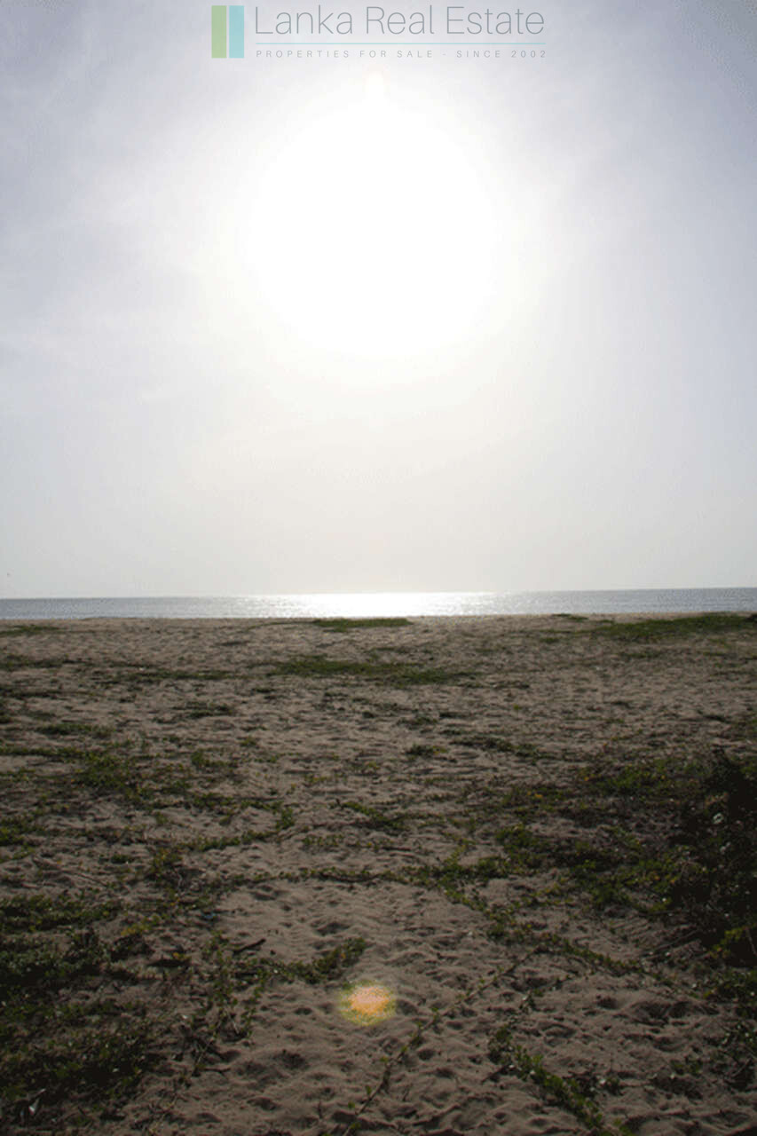 Extensive second-line beachfront plot near surf-break