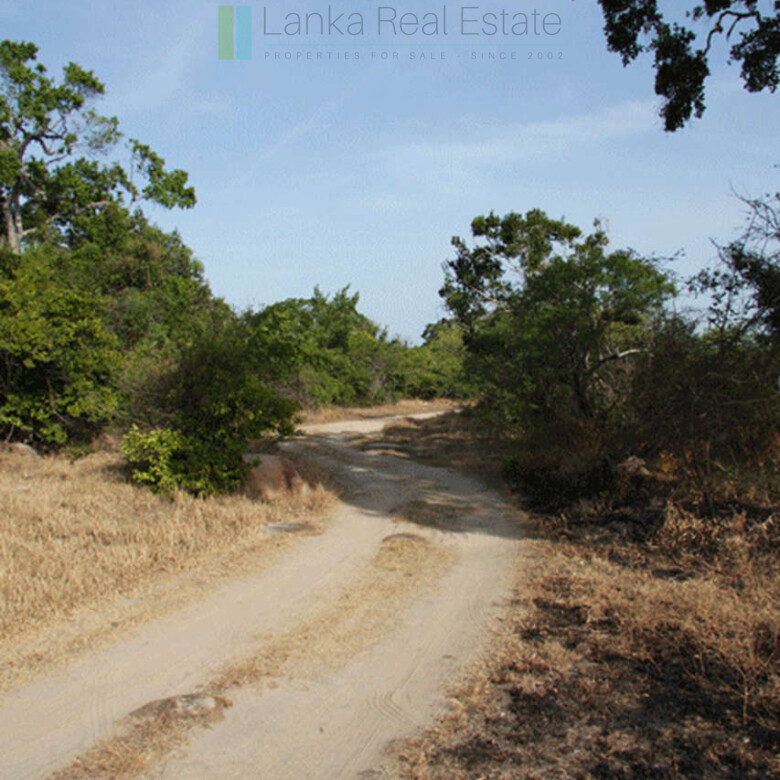Extensive second-line beachfront plot near surf-break