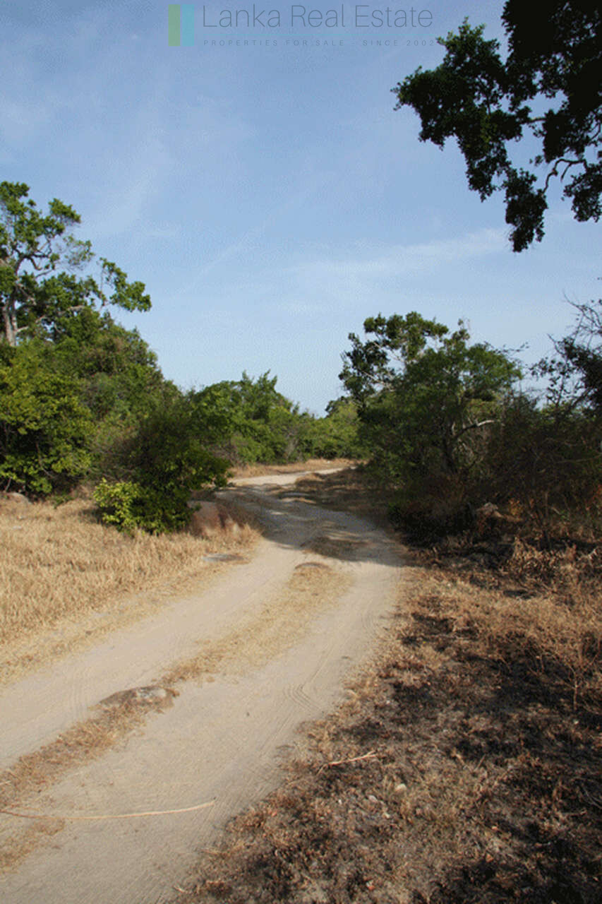 Extensive second-line beachfront plot near surf-break