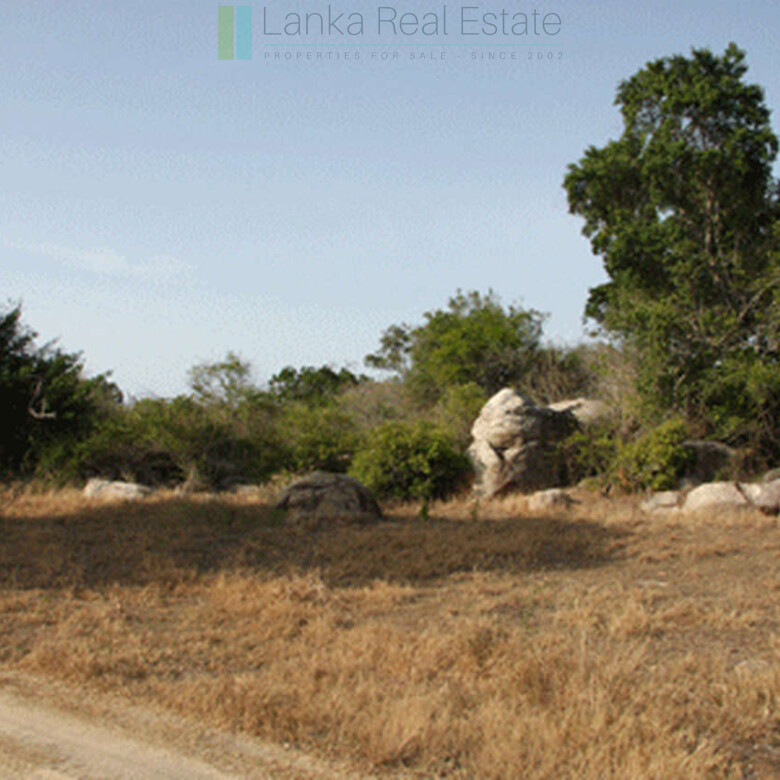Extensive second-line beachfront plot near surf-break