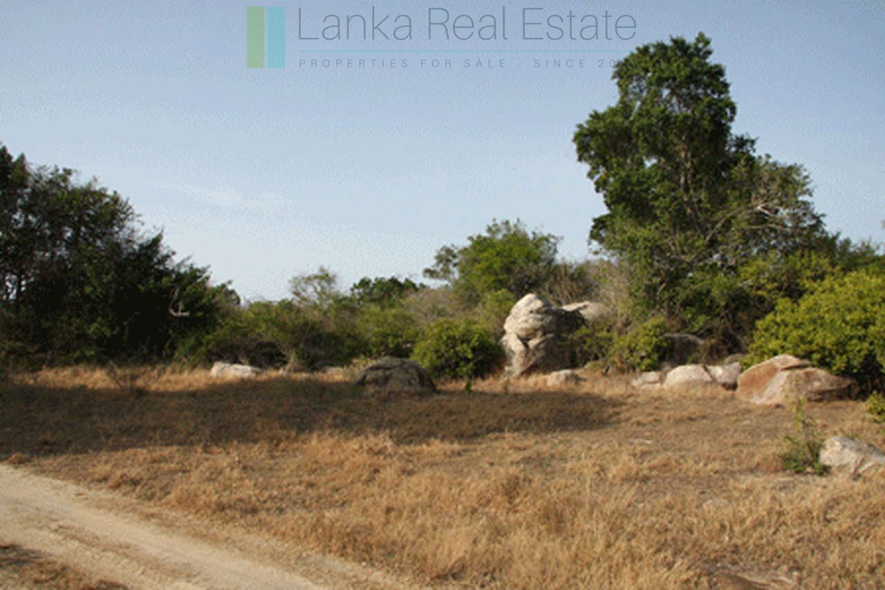 Extensive second-line beachfront plot near surf-break