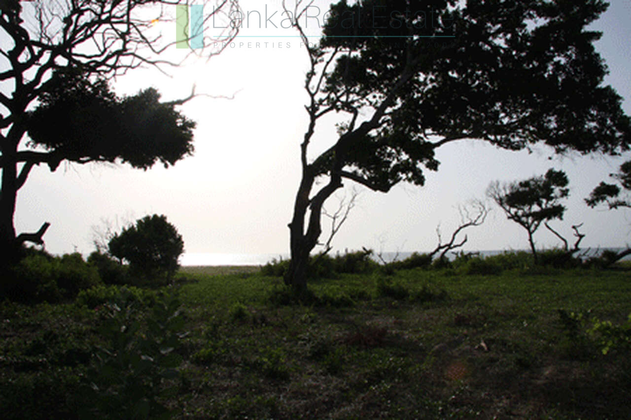 Extensive second-line beachfront plot near surf-break