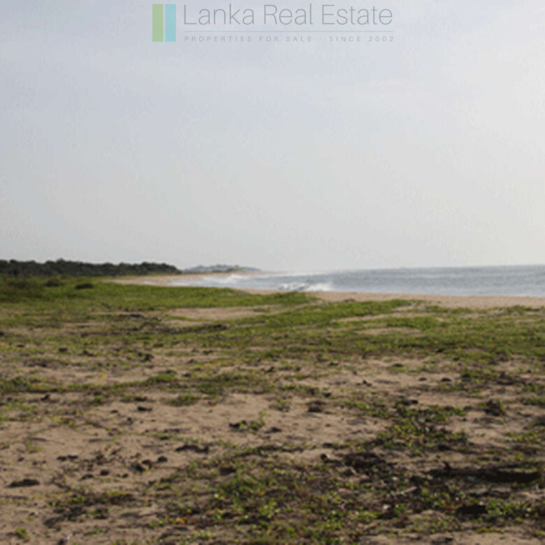 Extensive second-line beachfront plot near surf-break