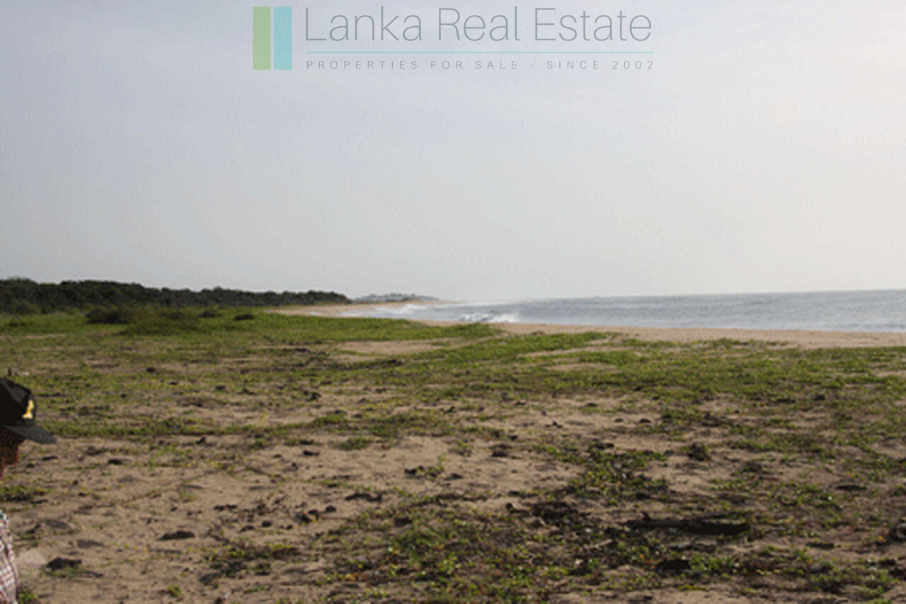 Extensive second-line beachfront plot near surf-break
