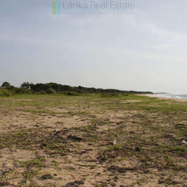 Extensive second-line beachfront plot near surf-break