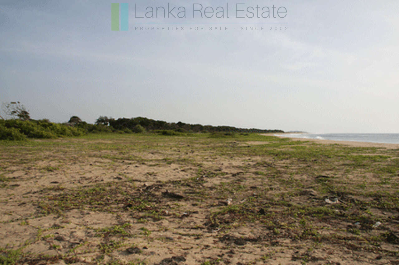 Extensive second-line beachfront plot near surf-break