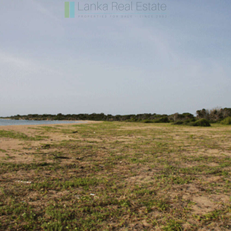 Extensive second-line beachfront plot near surf-break