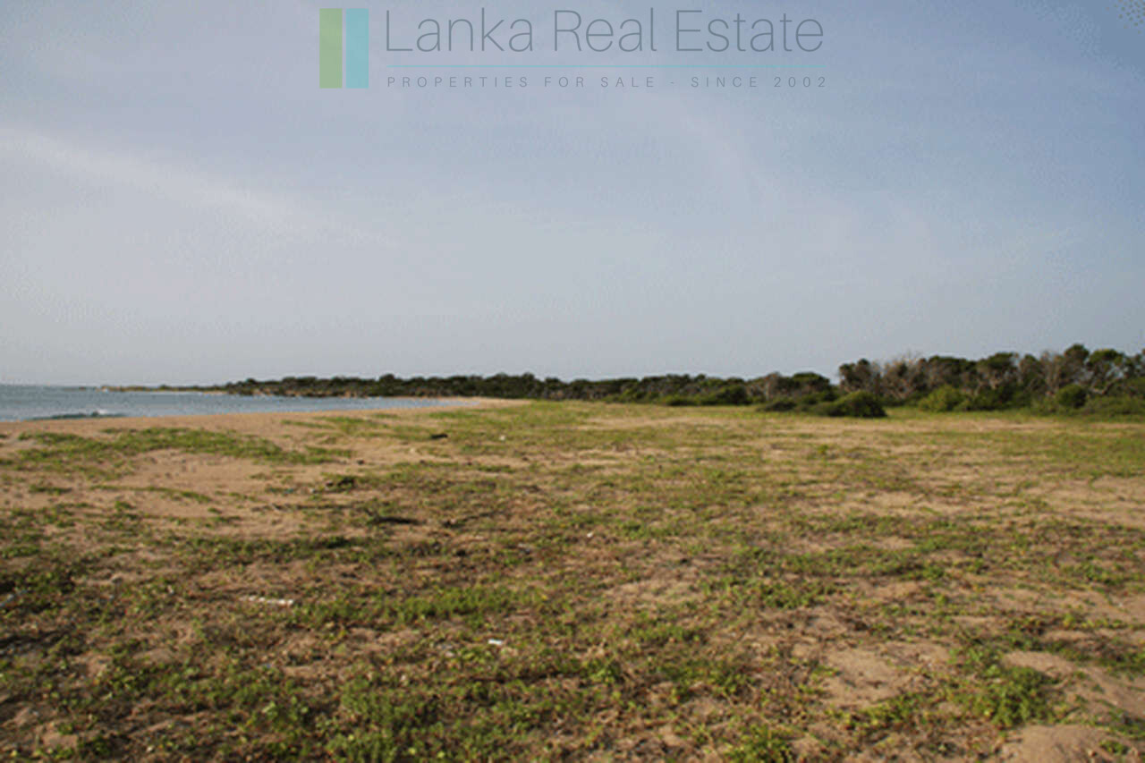 Extensive second-line beachfront plot near surf-break