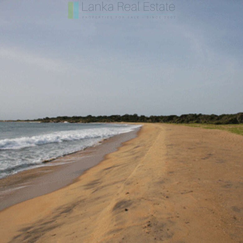 Extensive second-line beachfront plot near surf-break