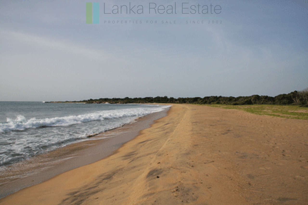 Extensive second-line beachfront plot near surf-break