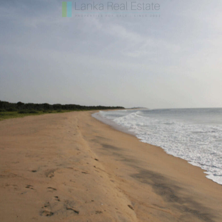 Extensive second-line beachfront plot near surf-break