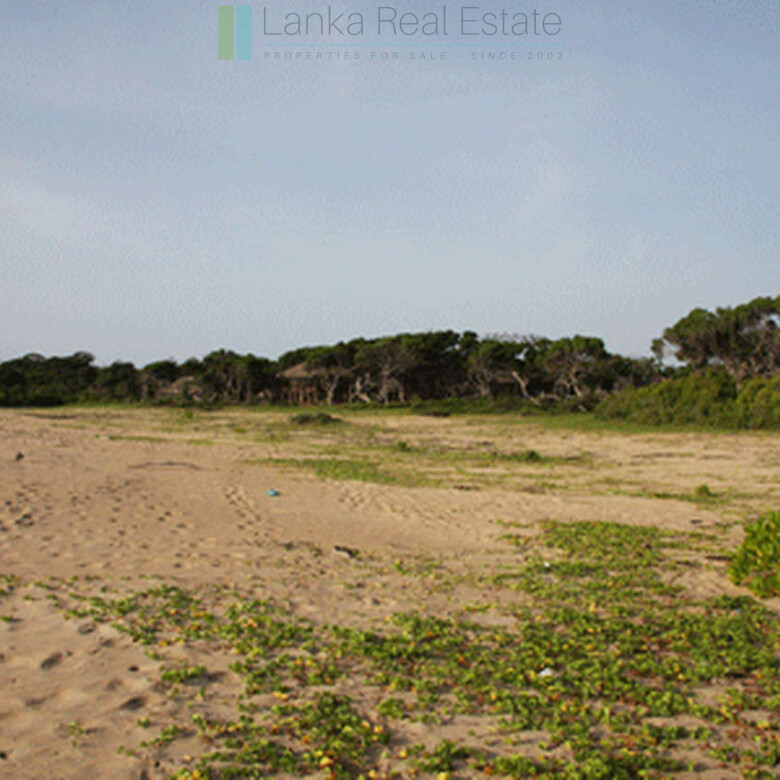 Extensive second-line beachfront plot near surf-break