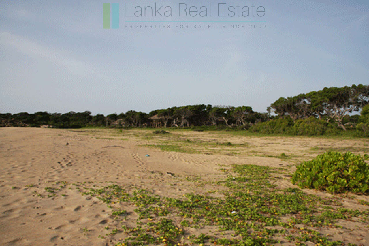 Extensive second-line beachfront plot near surf-break
