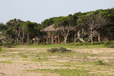 Extensive second-line beachfront plot near surf-break