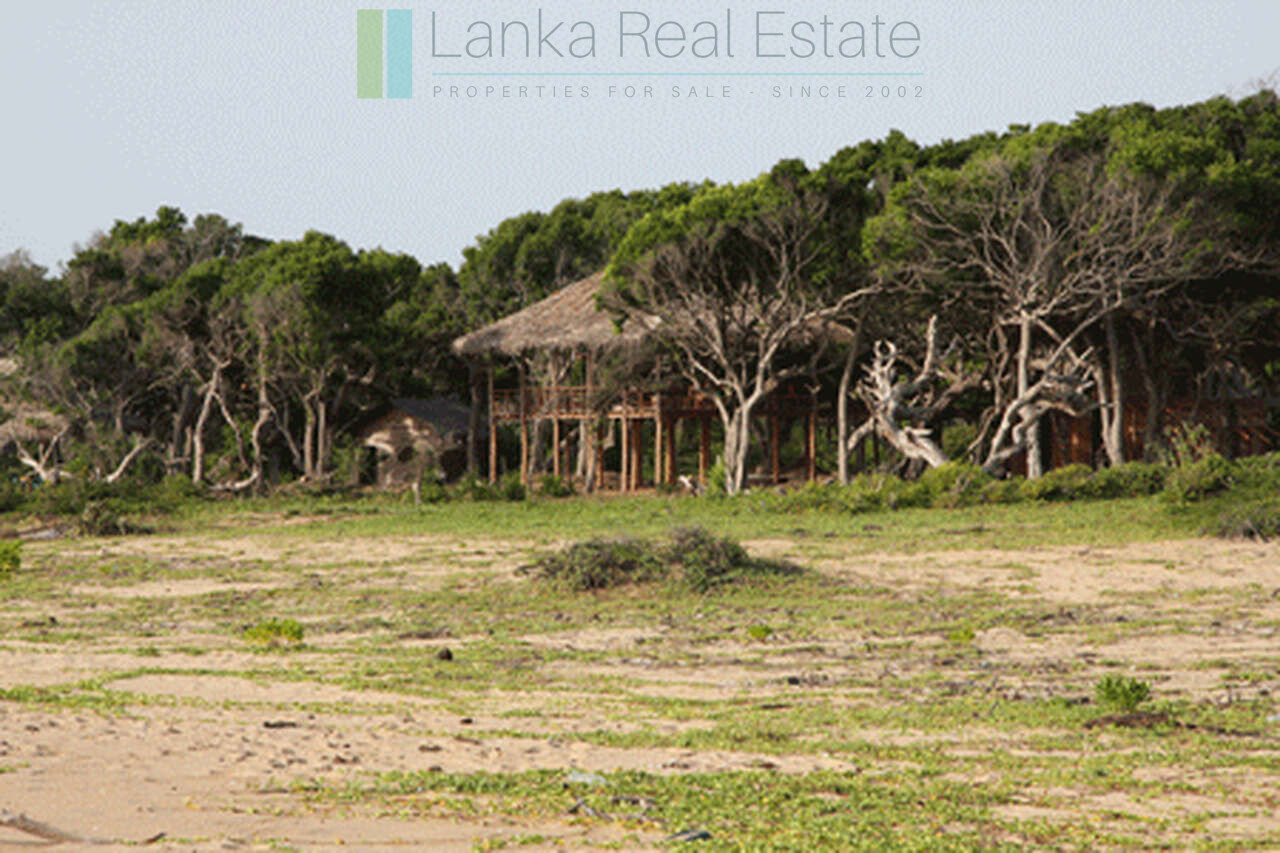 Extensive second-line beachfront plot near surf-break
