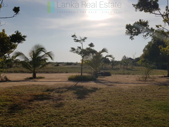 Desirable plot on the beach at Whisky Point