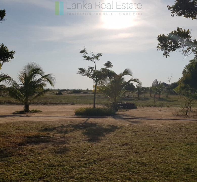 Desirable plot on the beach at Whisky Point