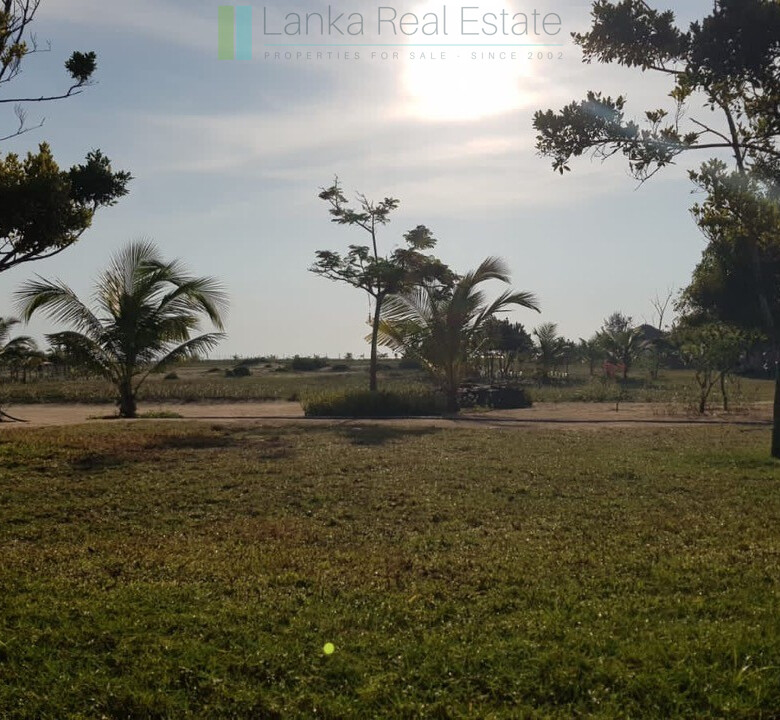 Desirable plot on the beach at Whisky Point