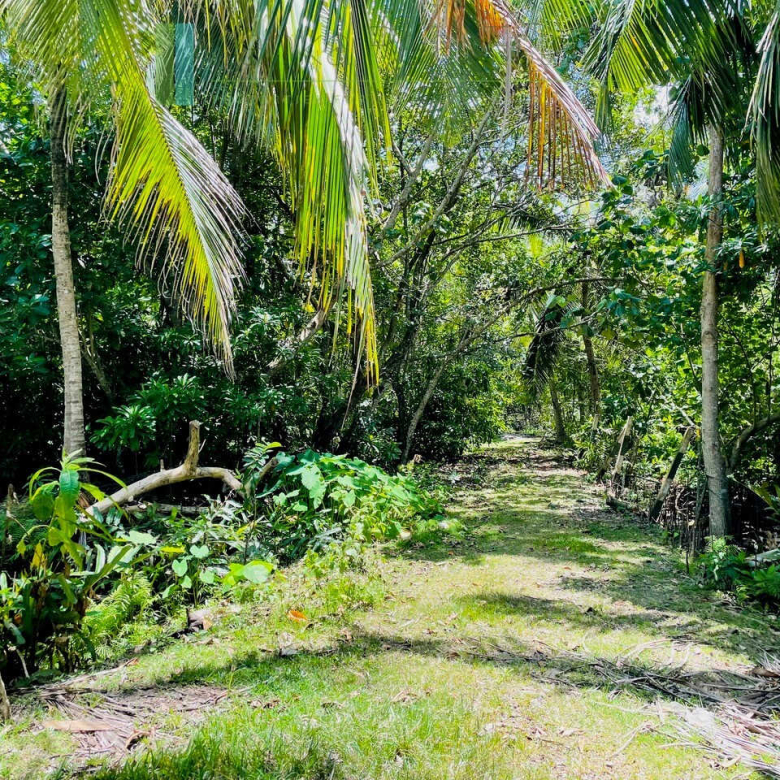 Ten acre development plot with outline plans