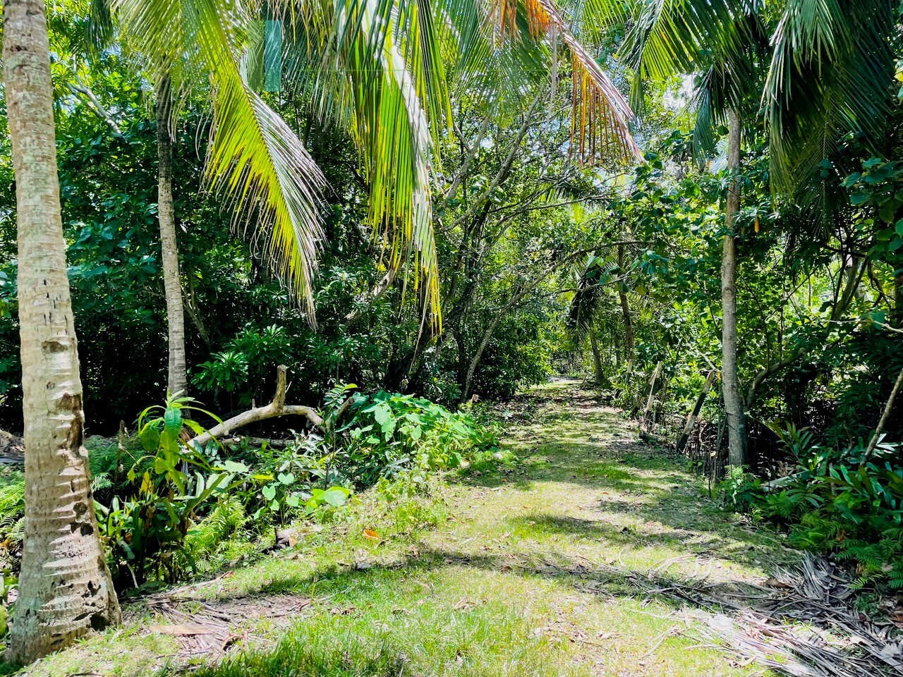 Ten acre development plot with outline plans