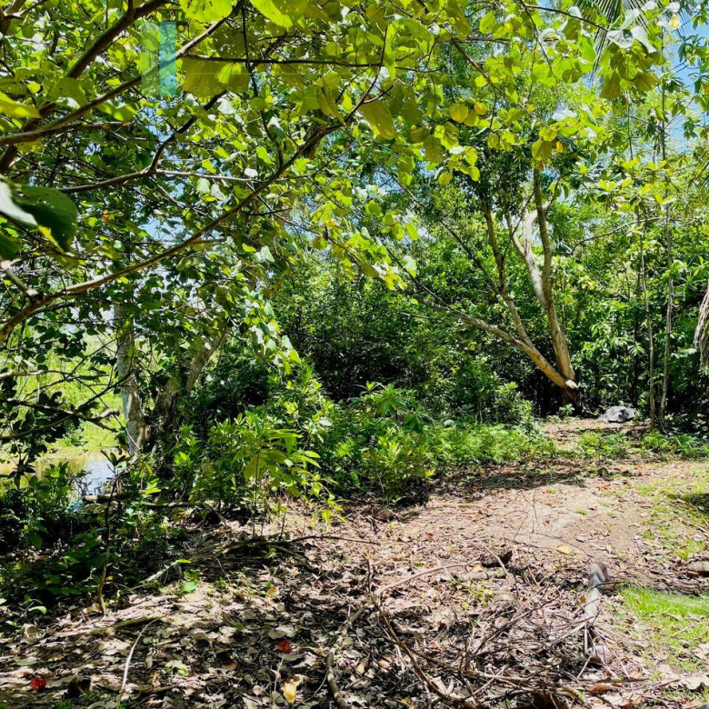 Ten acre development plot with outline plans