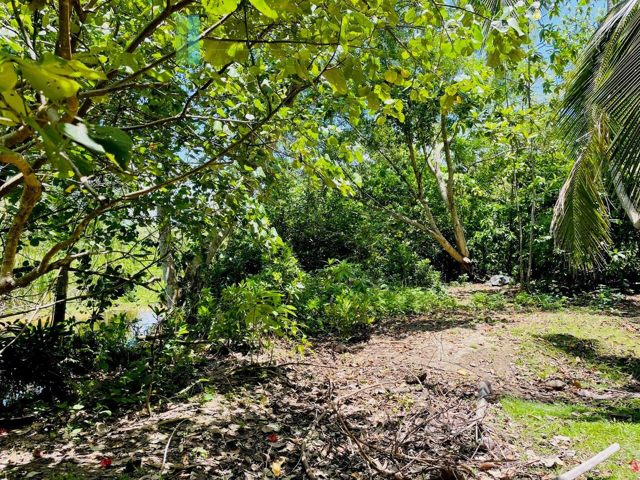 Ten acre development plot with outline plans