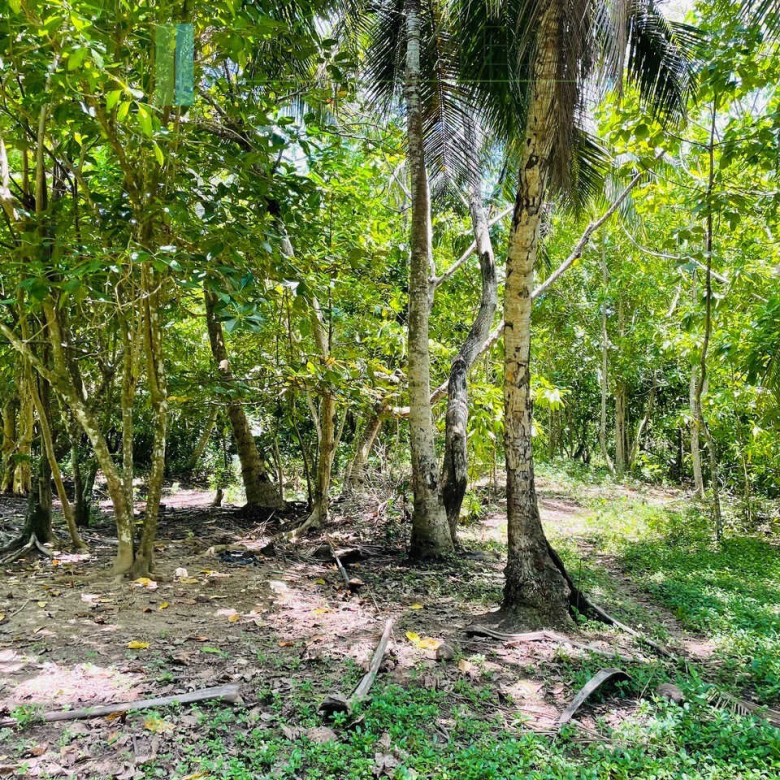 Ten acre development plot with outline plans
