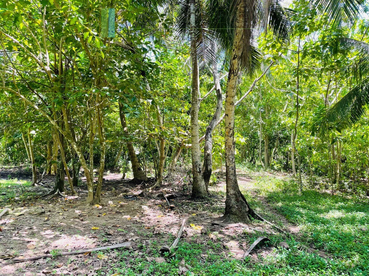 Ten acre development plot with outline plans